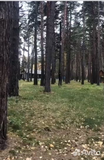 База отдыха