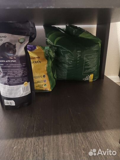 Декоративная крыса с клеткой