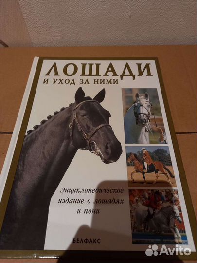 Лошади и уход за ними