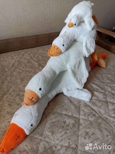 Гусь обнимусь