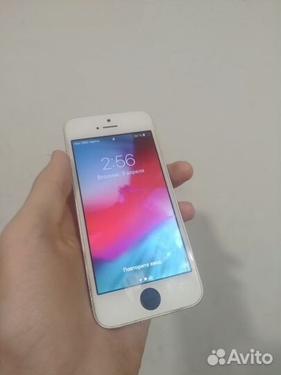iPhone 5S, 16 ГБ