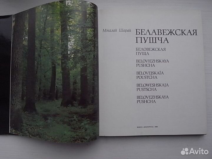 Шарай М. Белавежская пушча (Беловежская пуща)