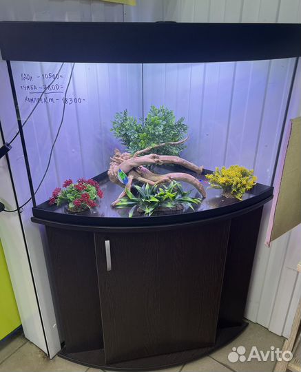 Продажа аквариумов, рыбок, оборудование