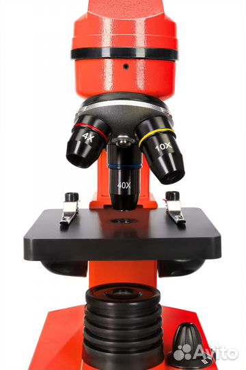 Микроскоп Levenhuk Rainbow 2L Апельсин