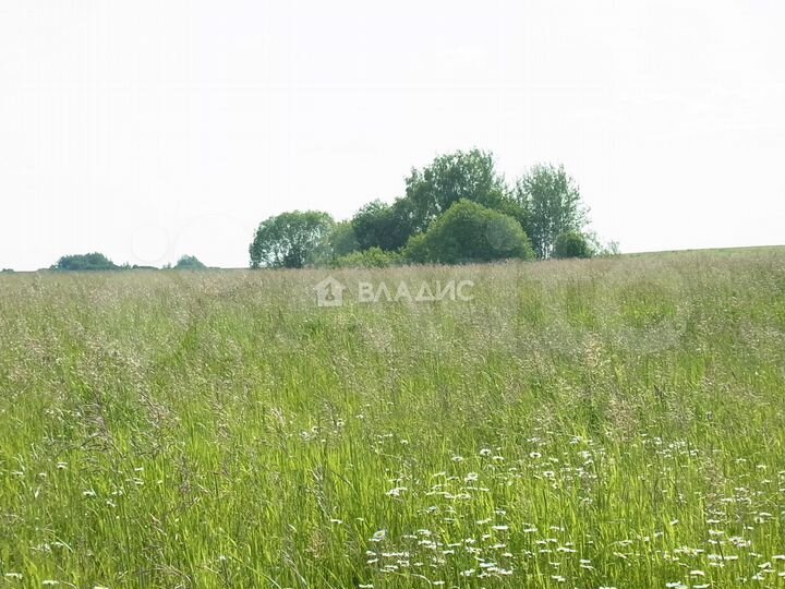 Участок 3,88 га (СНТ, ДНП)