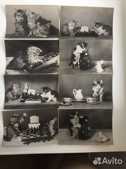 Набор фотокарточек СССР Изогиза Москва 1956