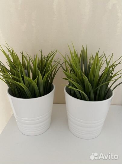 Искуственое растение fejka фейка IKEA 2 шт