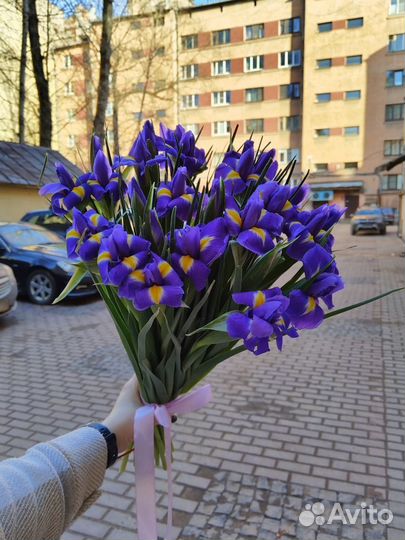 Букет из 27 ирисов