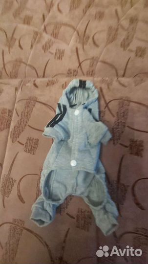 Одежда для маленьких собак бу