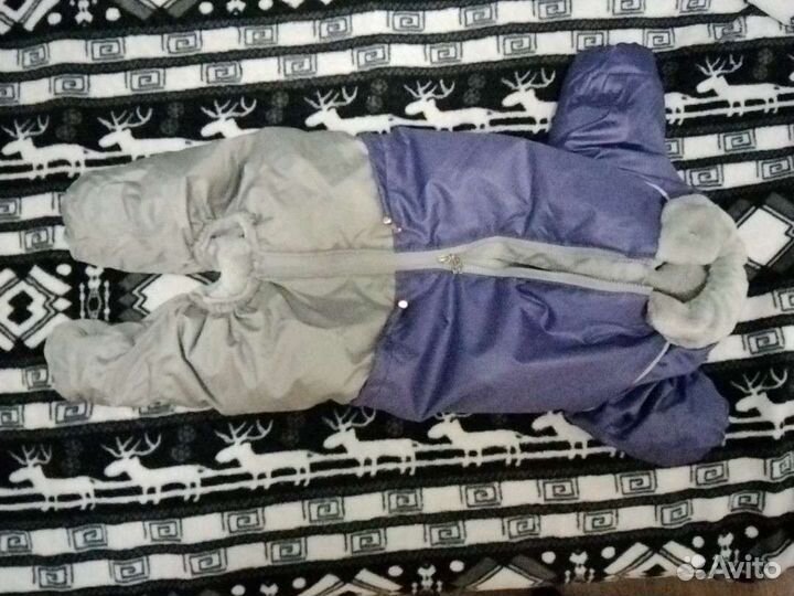 Комбинезон зимний для кобеля