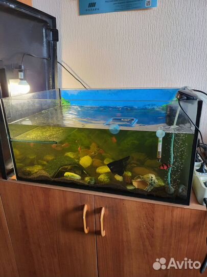 Аквариум 75 литров с рыбками