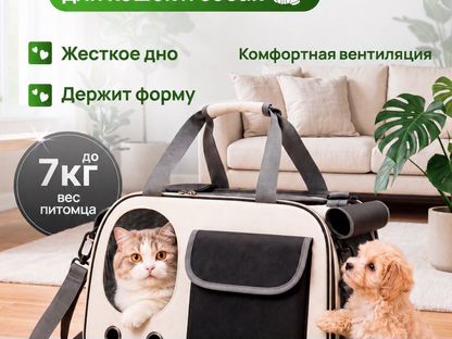 Сумка переноска для животных, Астана
