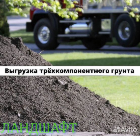 Люкс рулонный газон под ключ доставка Королев