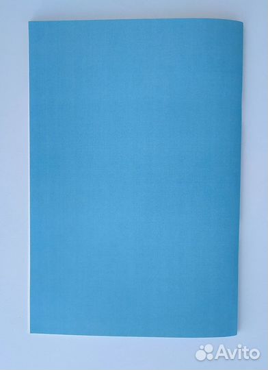 Инструкция по эксплуатации газ-24