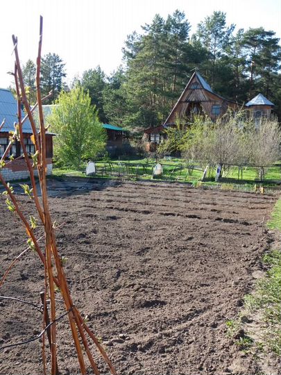 Дача 50 м² на участке 20 сот.