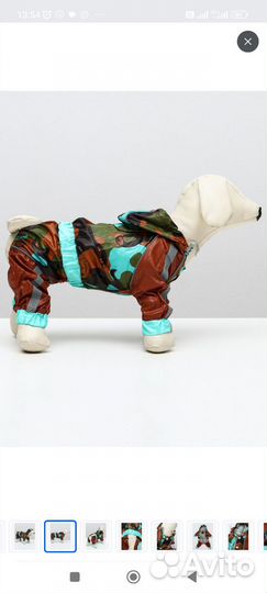 Комбинезон дождевик для собаки