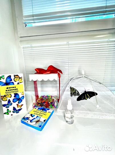 Ферма бабочек