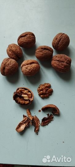 Орех грецкий