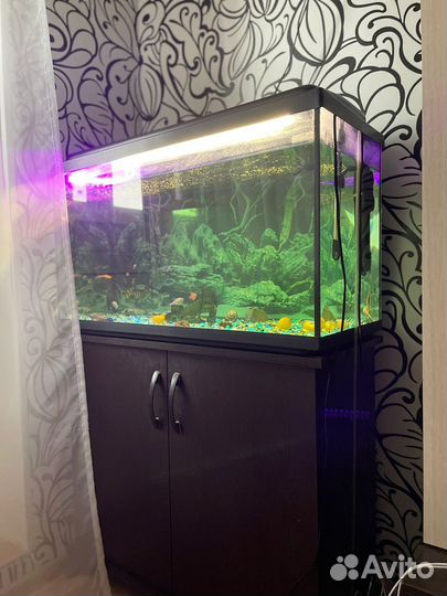 Аквариум