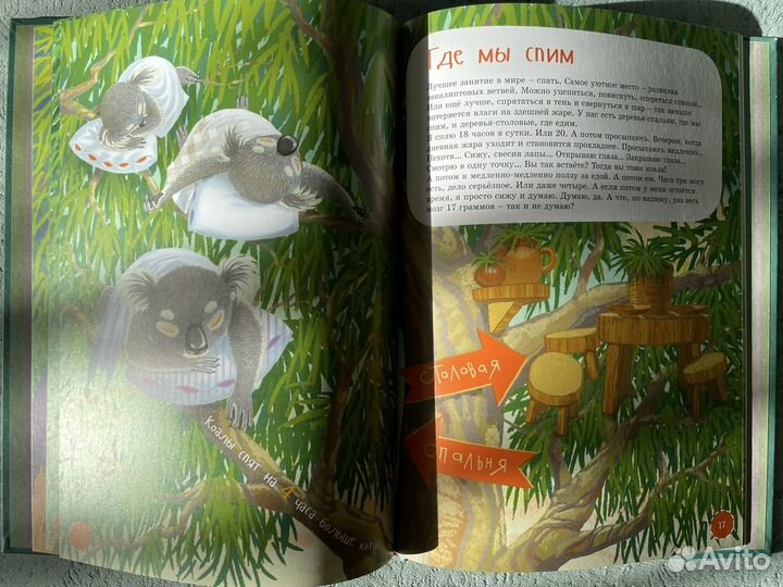 Детские развивающие книжки 6+