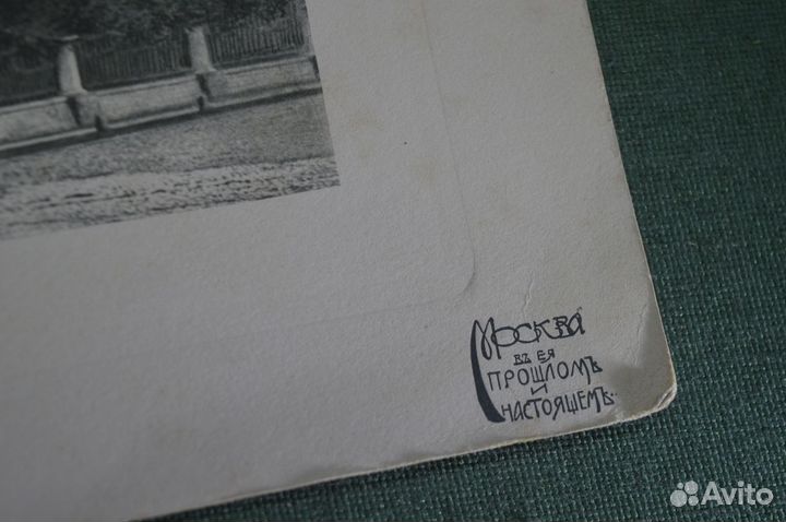 Репродукция 