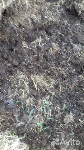 Навоз в мешках перепревший