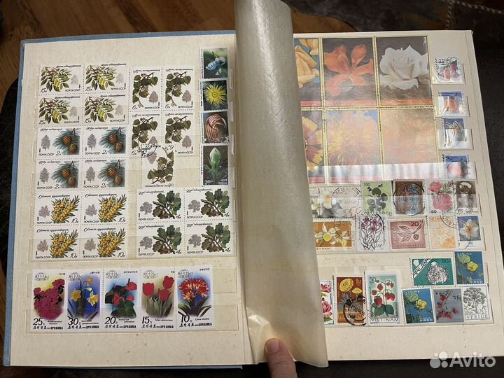 Коллекция почтовых марок флора