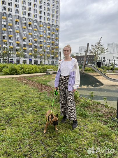 Передержка, зооняня