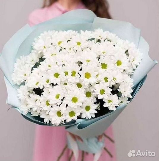 Хризантема Доставка цветов Букеты