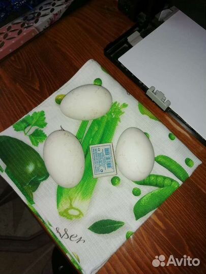 Яйцо гусиное инкубационные линда