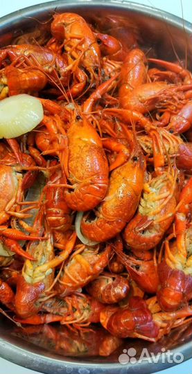 Живые и вареные раки