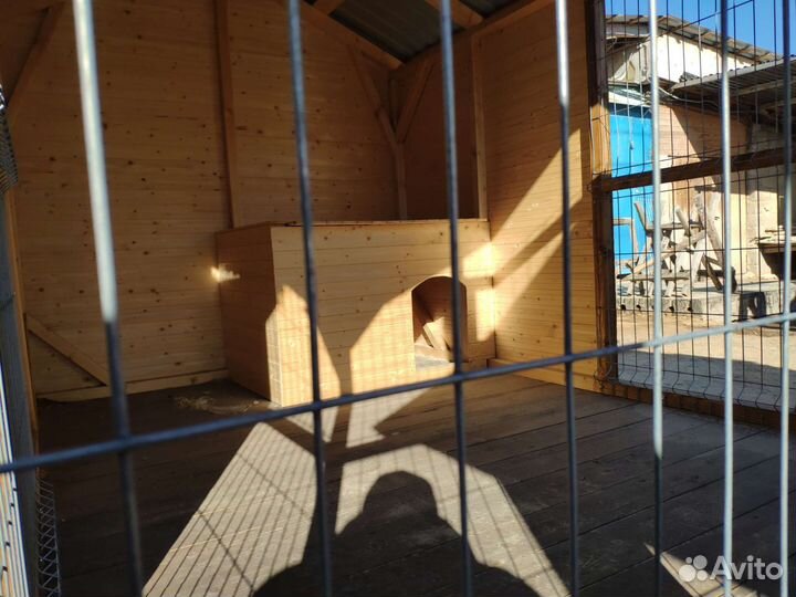 Вольер, вольер для собак