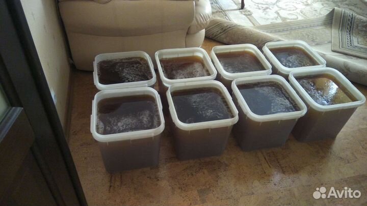 Мед натуральный Башкирия