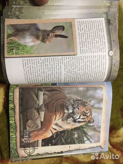 Книга про Охоту