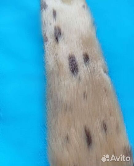 Винтажный галстук из нерпы