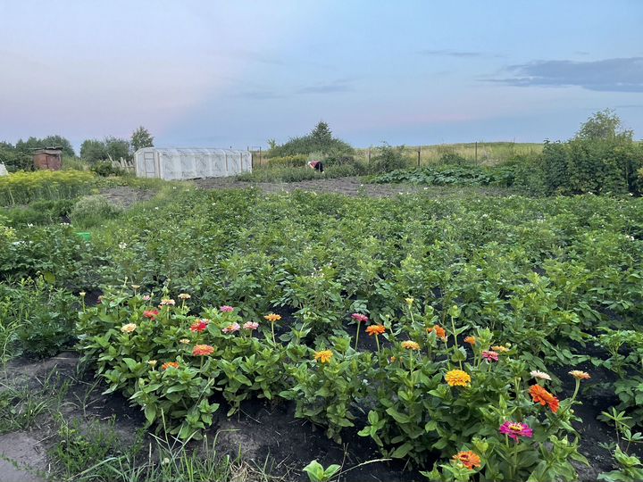 Дом 91 м² на участке 40 сот.