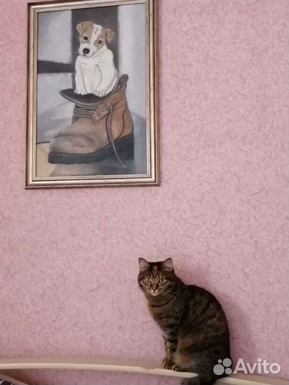 Картина с собакой 
