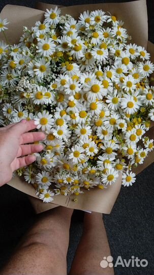 Букеты из ромашек