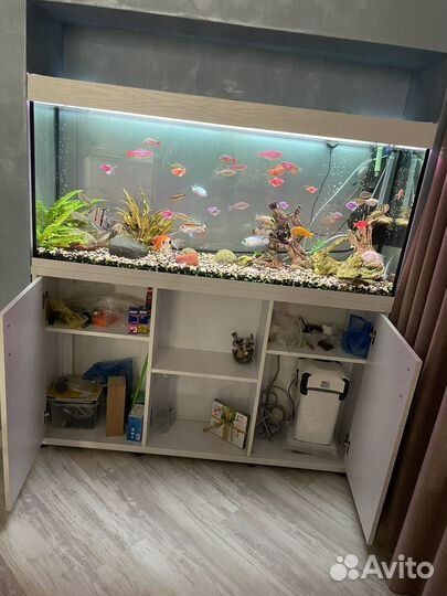 Аквариум с тумбой белый