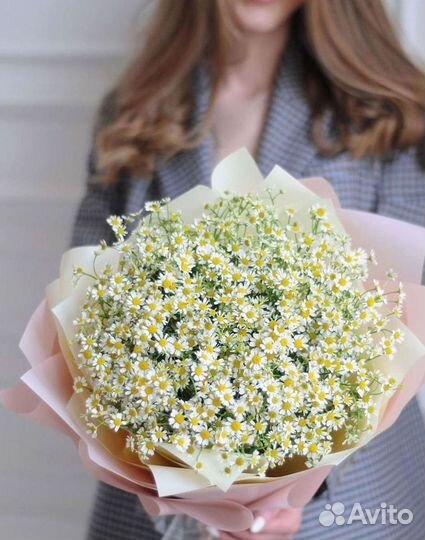 Цветы ромашки. Букеты ромашек. Цветы доставка