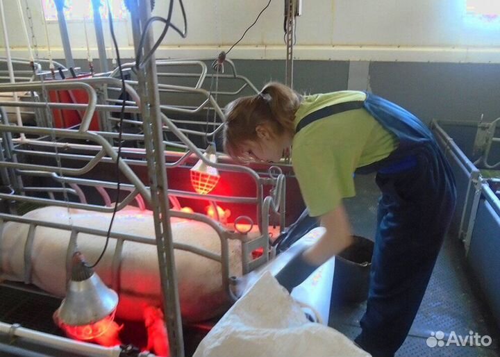 Работник по уходу за животными