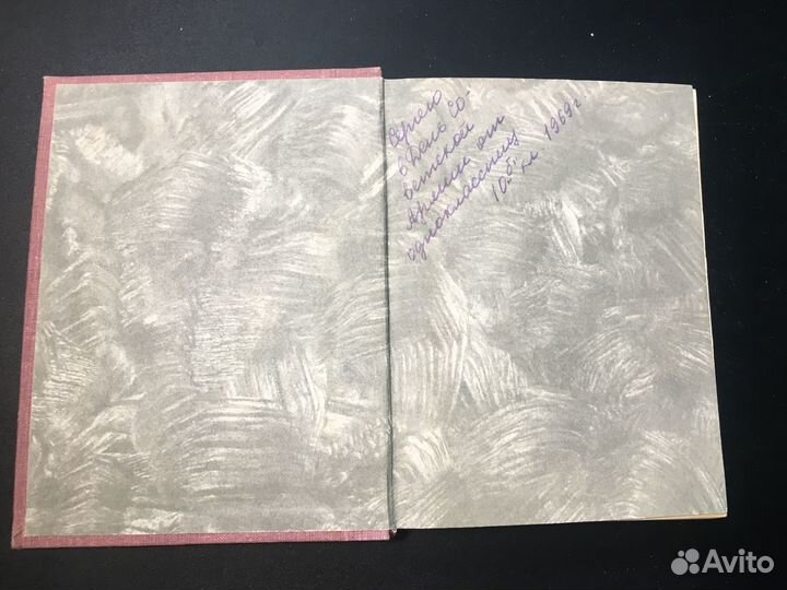 За нашу и вашу свободу, повесть о Я. Домбровском