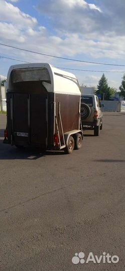 Конеперевозка, перевозка коров