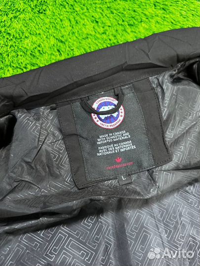 Мужская Жилетка canada goose