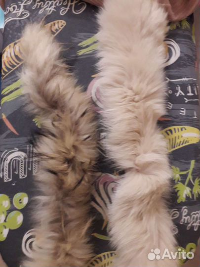 Воротник меховой