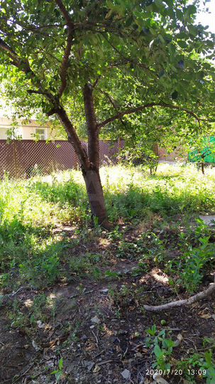 2-к. квартира, 37,1 м², 1/1 эт.