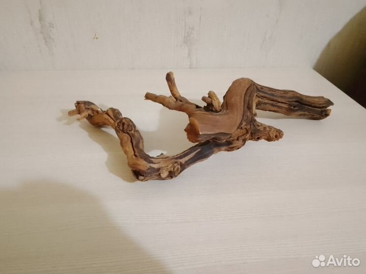 Коряга в террариум