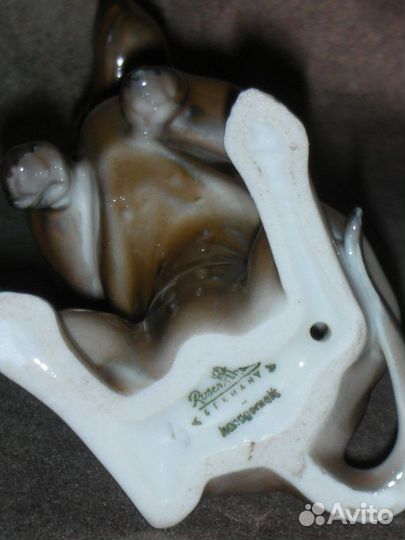 Такса на задних лапах