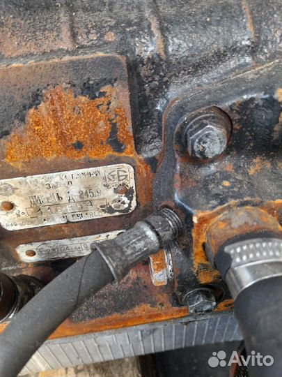 Двигатель д 245.9 зубрёнок