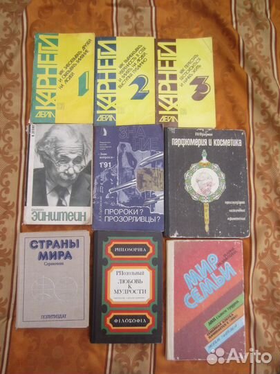 И.С. Шмелёв. Избранное. 1989 год